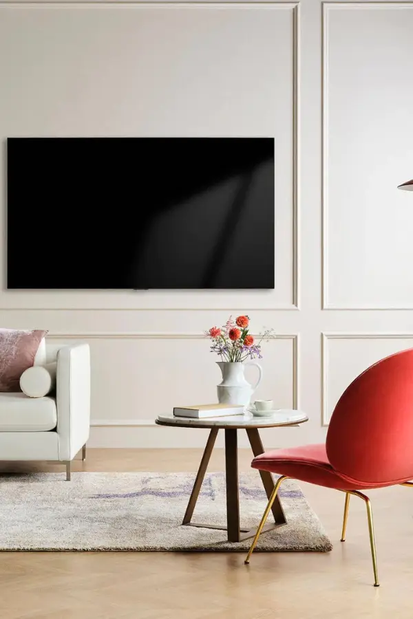 the Lg OLED gallery tv. Looks like art on the wall